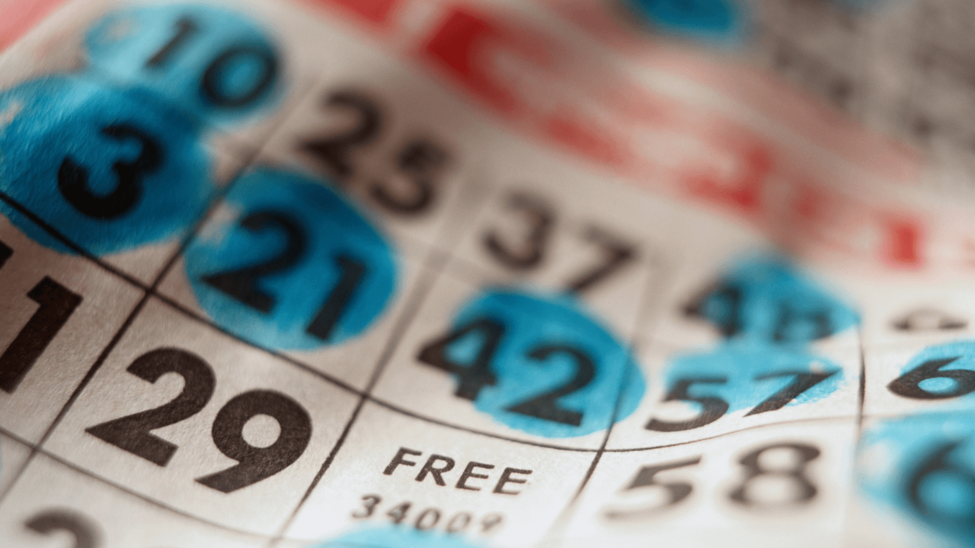 Tout sur les cartes et appels de bingo en ligne image