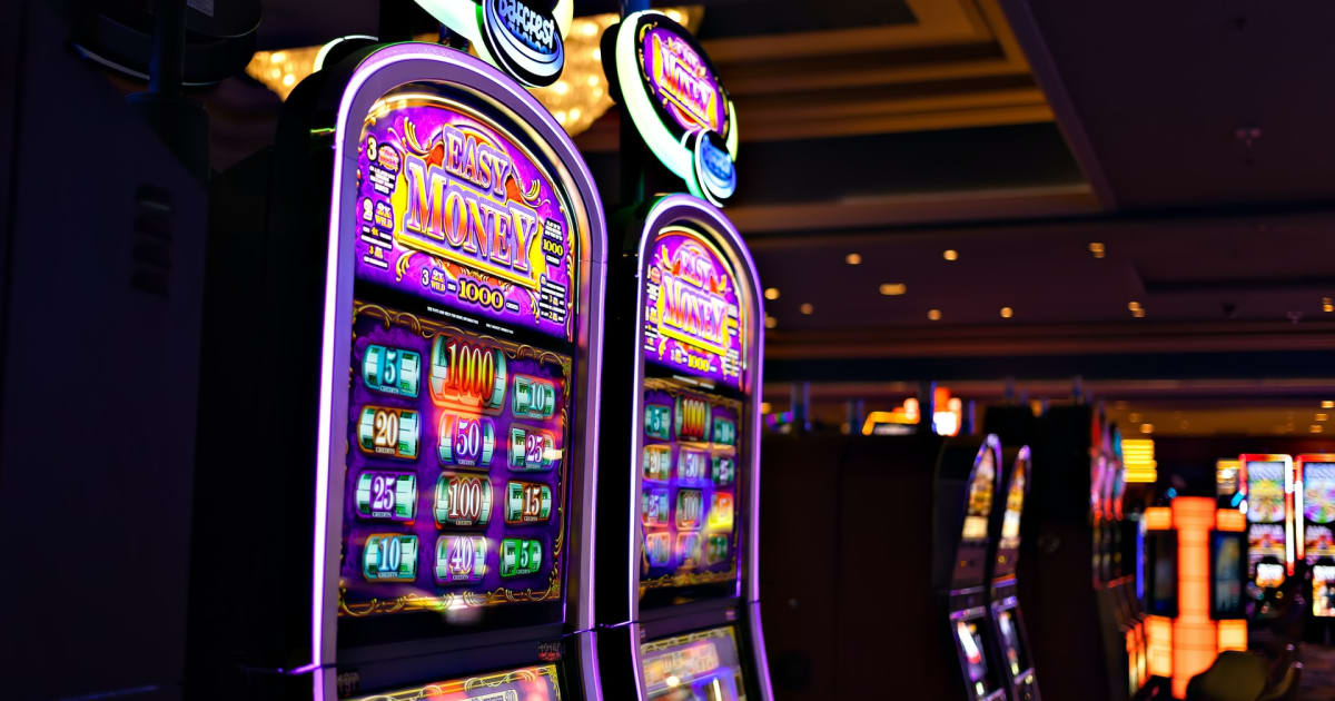 Ce que vous devez savoir sur Play'n Go Money Spinning New Slots - Rabbit Hole Riches